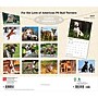 2027 BrownTrout For the Love of American Pit Bull Terriers 14" x 12" Monthly Wall Calendar, Assorted Colors (9798330714759)~#|#~C75825AE-588E-4B8E-9DF00ED0C72A4EAB_sc7