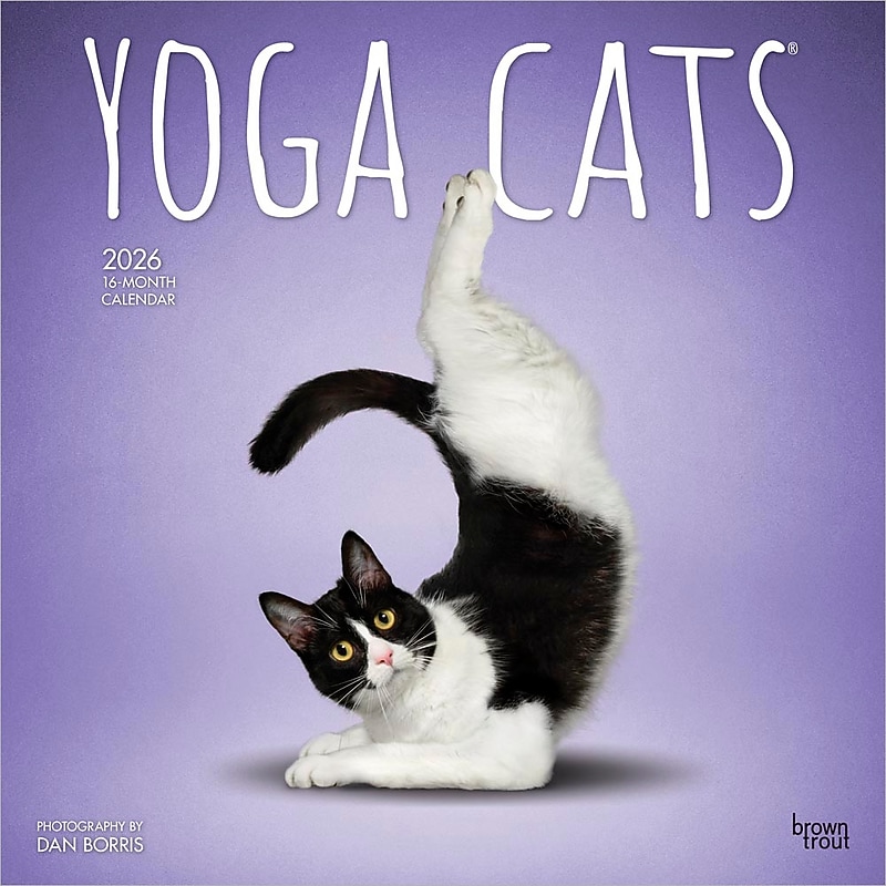 2026 BrownTrout Yoga Cats 12" x 12"  Monthly, Paper Cover, Yoga Cats (9798330701919) image 1