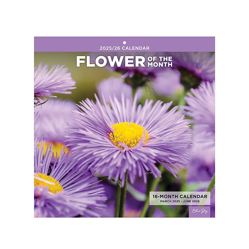 2025-2026 Blue Sky Flower of the Month 12" x 12" Academic Monthly Wall Calendar, Assorted Colors (155814) image 1