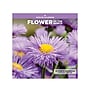2025-2026 Blue Sky Flower of the Month 12" x 12" Academic Monthly Wall Calendar, Assorted Colors (155814)~#|#~C77EBB4D-ADDD-41A6-A568DF9C1FB8D994_sc7