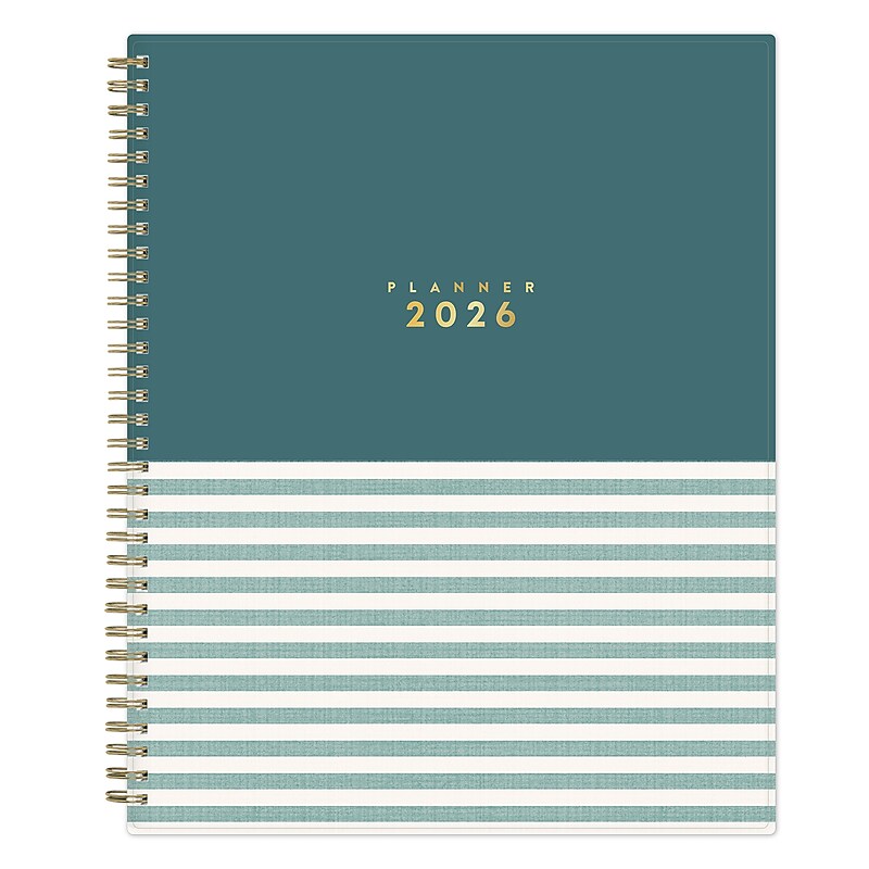 2026 Blue Sky Stripe Block 11" x 8.5"  Weekly & Monthly Personal Organizer, Plastic Cover (154716) image 1