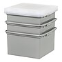 Iris 37.7 Quart Storage Container, Plastic, Gray, 3/Pack (500168)~#|#~C78E7484-78D9-4ECA-AAE8E42953F321C4_sc7