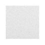 Armstrong ULTIMA Beveled Tegular Edge Ceiling Tile, 24" x 72", White, 6/Carton (BP1982)~#|#~C7910E3D-5AAB-4DF7-9EFBE0CC7B29DFE0_sc7
