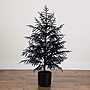 Nearly Natural Artificial Halloween Real Touch Black Norfolk Pine Christmas Tree, 4' (T5242)~#|#~C79FF7F6-8085-40EC-8E266FB073E59839_sc7