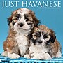 2027 Willow Creek Havanese  12" x 12" Monthly Wall Calendar (60629)~#|#~C7A86B9E-3957-4E97-B345BEB070F652D5_sc7