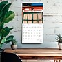2026 BrownTrout Magnolia State Mississippi Places 12" x 12" Monthly Wall Calendar (9798330704446)~#|#~C7AD72E9-7865-4DF9-8BDA967BE4AF6788_sc7