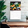 2026 BrownTrout Kitchen 14" x 12" Monthly Wall Calendar (9798330704057)~#|#~C7CB3115-B8F4-48E9-B681C4DF25D8A0C8_sc7
