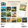 2026 BrownTrout The Majesty of Trees 12" x 12" Monthly Wall Calendar (9798330704491)~#|#~C7CE216C-AF29-4EA7-973F72BFB2E33908_sc7