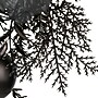 National Tree Company 24" Halloween Wreath with Ball Ornaments (RAH-BW010W-1)~#|#~C7DCFB5C-D8A6-4724-8D0C0B93F0D59D1B_sc7