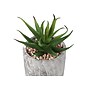 Monarch Specialties Inc. 6" Artificial Succulent Plant in Pot, 2/Set (I 9586)~#|#~C801910A-0929-4698-8BA1D0504413D924_sc7