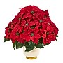 Nearly Natural Artificial Poinsettia Arrangement (1964)~#|#~C81503B0-1D39-43DC-A18163A3E91362F7_sc7
