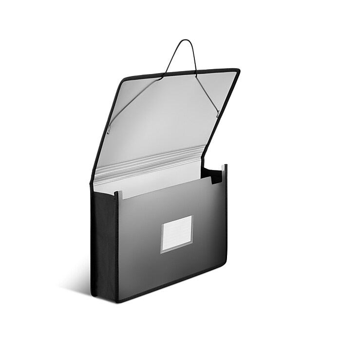 1pc 12-pocket Accordion File Organizer, Portable Expandable Plastic File Box, Ac