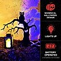 Haunted Hill Farm 2-Ft. Metal Spooky Tree Stake with LED Lantern, Indoor & Covered Outdoor, Plug-in, Black (HHMT024OWLTREE-BLK)~#|#~C82C4020-F127-479A-BFE2F6CC42FB4C79_sc7