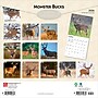 2026 BrownTrout Monster Bucks 12" x 12" Monthly Wall Calendar (9798330704682)~#|#~C833DD55-C68B-4652-A69B2D01C4DE315D_sc7