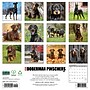 2027 Willow Creek Doberman Pinschers  12" x 12" Monthly Wall Calendar (60025)~#|#~C83C8093-0835-4FB1-95B48F2CCDF7AEFE_sc7