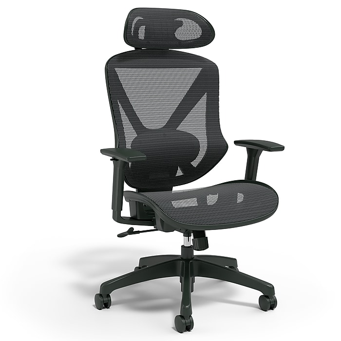 Staples® Dexley Ergonomic Mesh Swivel Task Chair, Black