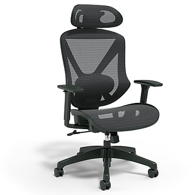 Staples Dexley Ergonomic Mesh Swivel Task Chair, Black (UN56946V-CC) Simolary simolary.com