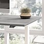 Bush Business Furniture Move 40 Series 48"W Electric Adjustable Standing Desk, Platinum Gray (M4S4824PGWK)~#|#~C87A44AF-8FF6-43C3-816F20FD49DC9506_sc7