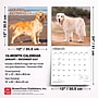 2027 BrownTrout Golden Retrievers 12" x 12" Monthly Wall Calendar (9798330712472)~#|#~C880346F-4538-497E-80F4DED2919143DB_sc7