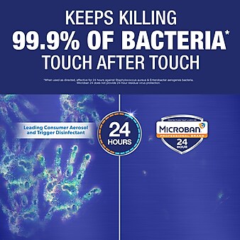 Microban 24 Professional Sanitizing and Disinfecting Spray, Citrus, 15 oz. (30130)