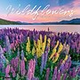 2026 Willow Creek Wildflowers 12" x 12" Monthly Wall Calendar (53294X)~#|#~C887D3B7-466A-4D7C-8437DD2CA98A1330_sc7