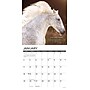 2026 Willow Creek Seize the Hay 12" x 12" Monthly Wall Calendar (52730)~#|#~C889800B-379F-4F82-8F8E7A7F71F664AA_sc7