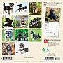 2027 BrownTrout Schnauzer Puppies 7" x 7" Monthly Wall Calendar (9798330710072)~#|#~C88E829B-C5DE-49B7-AC7E2AB32B5A3A75_sc7