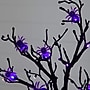 Nearly Natural Pre-Lit Artificial Halloween Spider Twig Tree, 2' (T5195)~#|#~C89413AC-2390-4199-AB7C96846AD1FACA_sc7