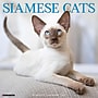 2027 Willow Creek Siamese Cats 12" x 12" Monthly Wall Calendar, Assorted Colors (62326)~#|#~C8BFF1AB-538D-4050-A33BDF6002C29FBC_sc7