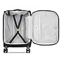 Delsey Cruise 3.0 20" Carry-On Suitcase, 4-Wheeled Spinner, TSA Checkpoint Friendly, Black (40287980600)~#|#~C8D6A8EA-8A8A-4D8C-95AC118E96E95924_sc7