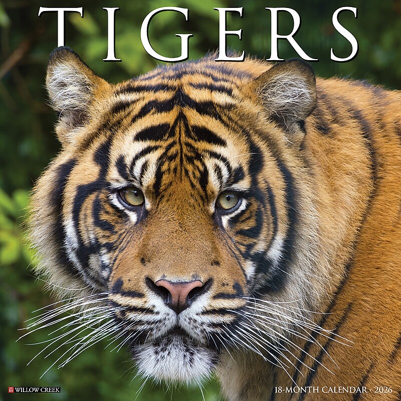 2026 Willow Creek Tigers 12" x 12" Monthly Wall Calendar (52969) image 1