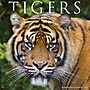 2026 Willow Creek Tigers 12" x 12" Monthly Wall Calendar (52969)~#|#~C8DB7ACC-CD12-4F7D-8C25948FF2F1DD81_sc7