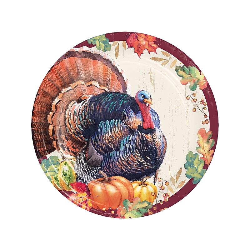 Creative Converting Thanksgiving Turkey Paper Plate, Multicolor, 24/Pack (DTC366872DPLT) image 1
