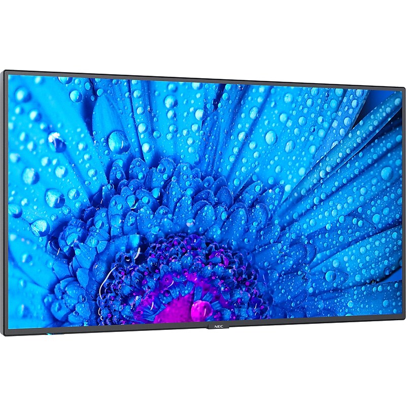 Sharp M 43" Wall Mountable Signage/Media Player for Digital Signage (M431-2) image 1
