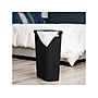 Mind Reader 10.57-Gallon Hamper with Lid, Plastic, Black (40FABHAMP-BLK)~#|#~C9242749-6DA4-460E-9FDB29399B78572E_sc7