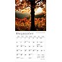 2026 BrownTrout National Parks 7" x 7" Monthly Wall Calendar (9798330704781)~#|#~C94BDD81-1A95-4C88-A53F7136E01836EB_sc7