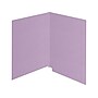 Medical Arts Press Kardex Match Reinforced End Tab File Folder, Straight Cut, Letter Size, Purple, 100/Box (S-09482-PRP)~#|#~C966EC65-5C2B-4735-A8119A7FA5EAB0C9_sc7