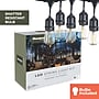 Bulbrite 30-foot String Light Kit with Clear Shatter Resistant Vintage Style S14 LED Light Bulbs (812313)~#|#~C96718B2-F6DB-4E17-9630ACD406CD1E06_sc7