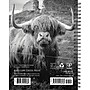 2026 Willow Creek Highland Cows 6.5" x 8.5" Daily & Monthly Personal Organizer (58480)~#|#~C9786ADF-58B5-4C32-8B1F64A426D74BBB_sc7