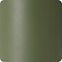 Swig Life Olive Stainless Steel Vacuum Insulated Screw Top Can Cooler, 12 oz., Olive Green (S104-ICC-OL)~#|#~C97FA24B-7B13-4067-938741D92178A134_sc7