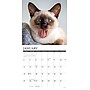 2026 Willow Creek Siamese Cats 12" x 12" Monthly Wall Calendar (52785)~#|#~C982E812-A2F5-4FCD-AB60DFE6C324DCE4_sc7