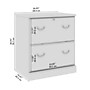 Bush Business Furniture Arlington 2-Drawer Lateral File Cabinet, Harvest Cherry (WC65554-03)~#|#~C9841121-80C1-4DA8-A2D74FA557D6223E_sc7