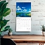 2026 BrownTrout Florida Wild & Scenic 12" x 12" Monthly Wall Calendar (9798330703272)~#|#~C999E233-5AD9-4695-8A342A0E55DEE96F_sc7