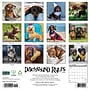 2027 Willow Creek Dachshund Rules  12" x 12" Monthly Wall Calendar (59951)~#|#~C9A7C059-547B-4B03-8F504CA055AEC495_sc7