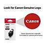 Canon PG-295 Black Standard Yield Ink Cartridge (HS621)~#|#~C9B02191-E60A-466B-AA028FD752A5672B_sc7