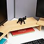 Mind Reader Lucky Wealth Elephant Figurine, Black (ELEPHANT-BLK)~#|#~C9B1AE21-EEB2-4C5F-9CC4B463D1E2C547_sc7