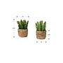 Monarch Specialties Inc. 7" Artificial Succulent Plants, 2/Set (I 9367)~#|#~C9B2DAB0-0AE9-4960-85EA11AAE29F3125_sc7