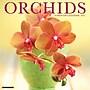 2027 Willow Creek Orchids 12" x 12" Monthly Wall Calendar, Assorted Colors (61626)~#|#~C9BAD10E-8E07-48F3-84F22CE70EB5955B_sc7
