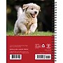 2026 Willow Creek What Goldens Teach Us 6.5" x 8.5" Daily & Monthly Personal Organizer (54680)~#|#~C9C48A22-D957-4BDF-AE5E790D0B567950_sc7