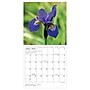 2027 TF Publishing Flowers 7" x 7" Monthly Wall Calendar, Multicolored (27-2014)~#|#~C9DEABD2-D71C-47D6-B558BABA50BB2CCC_sc7